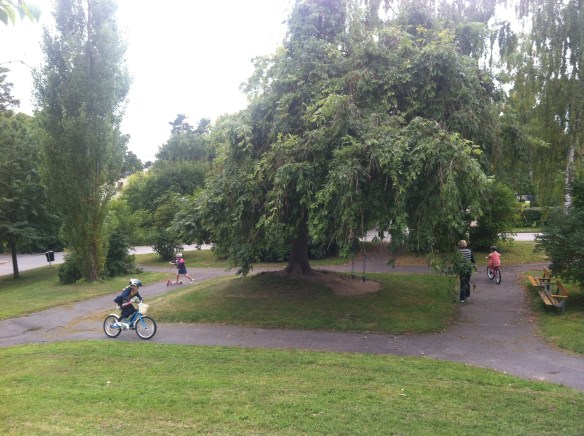 20130829-221637.jpg