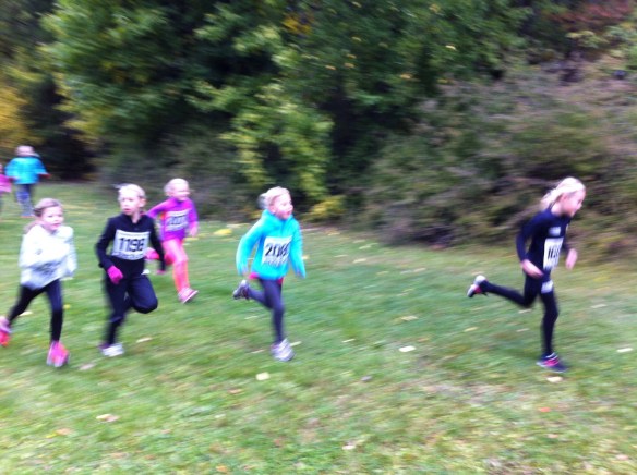 20131006-074733.jpg