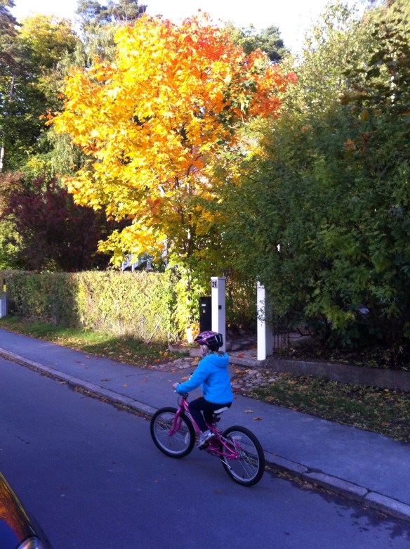 20131010-080157.jpg