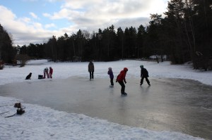 ice rink