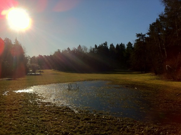 20140318-082734.jpg