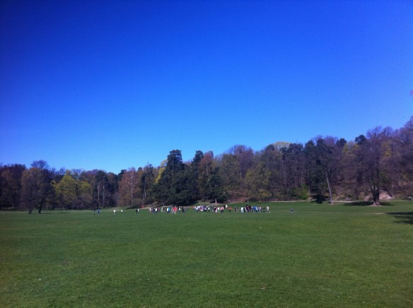 20140424-083731.jpg